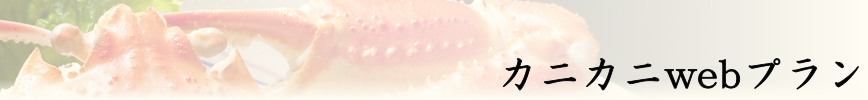 �J�j���Ƀv����