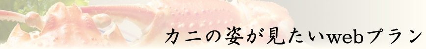 �J�j�̎p���݂����v����