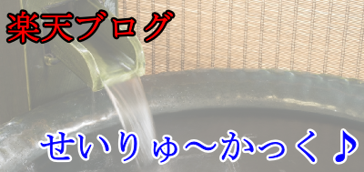 �y�V�u���O