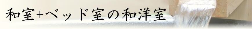 温泉露天風呂付ベッド付き和洋室
