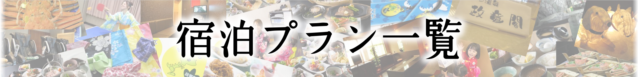 政竜閣のプラン一覧